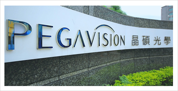 PEGAVISION ABOUT US